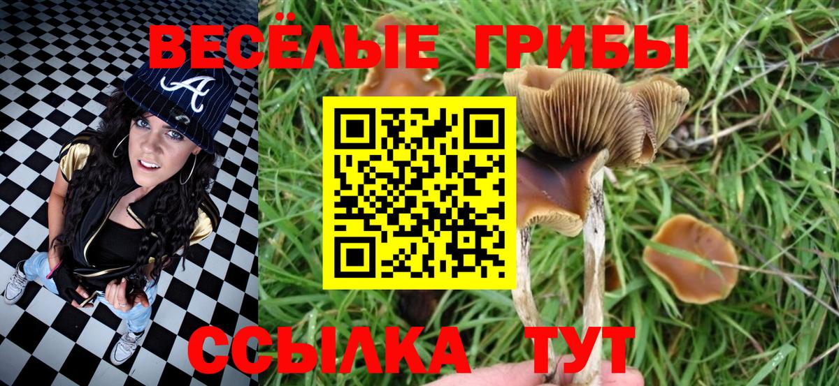 Псилоцибиновые грибы GOLDEN TEACHER  Вход с VPN  Ханты-Мансийск 